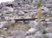 highline1