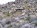 highline2
